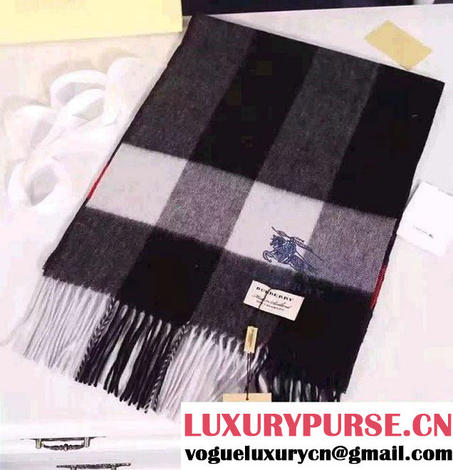 Burberr Men's Cashmere Scarf 2017