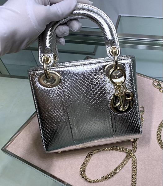 Christian Dior Original Snake Leather Golden Metal 17cm Tote Bag Silver