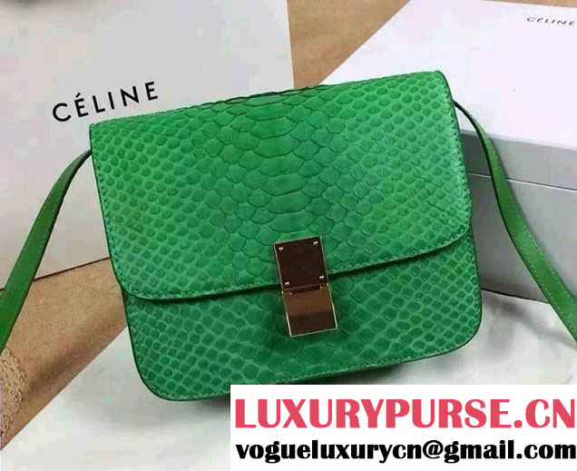 Celine Python Leather Classic Box Bag Green 2015