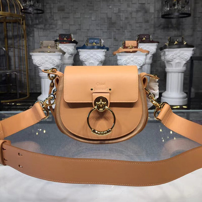 Chloe Small Tess Bag In Shiny Suede Calfskin Bleached Brown 2018