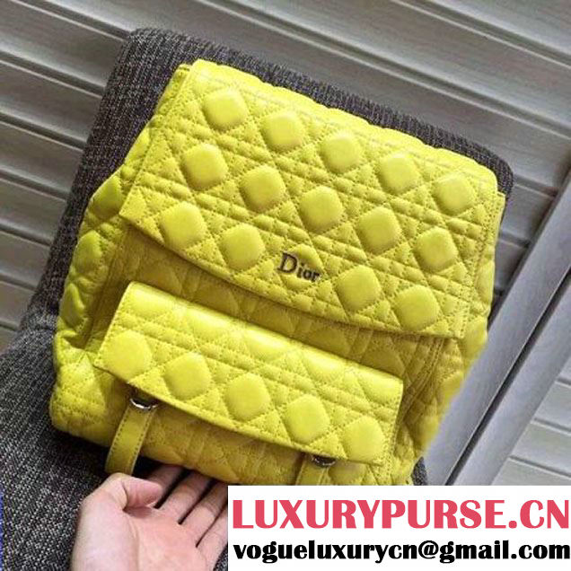 Dior Lambskin Large Stardust Backpack Yellow 2016 (XXG-6070131 )