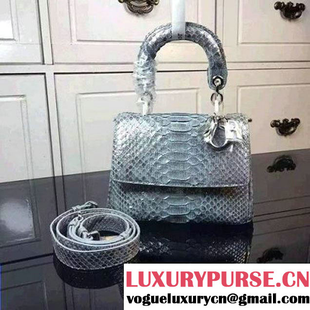 Dior Mini Be Dior Flap Bag In Python Leather Silver (2B009-122507 )