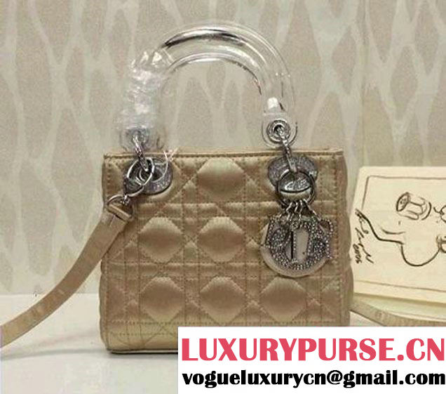 Dior Crystal Logo Lady Dior Bag Golden with Resin Handle 2014