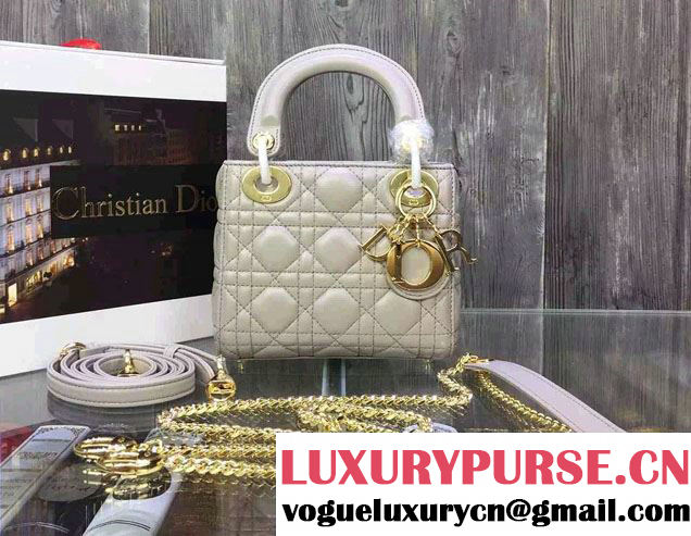 Lady Dior Small Bag with Adjustable Strap in Lambskin Leather Gray Gold 2015