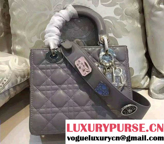 Lady Dior Lambskin Bag Gray With Embroidered Lucky Badges Strap Cruise 2017