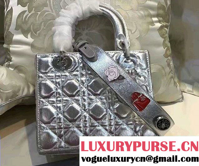 Lady Dior Lambskin Bag Silver With Embroidered Lucky Badges Strap Cruise 2017