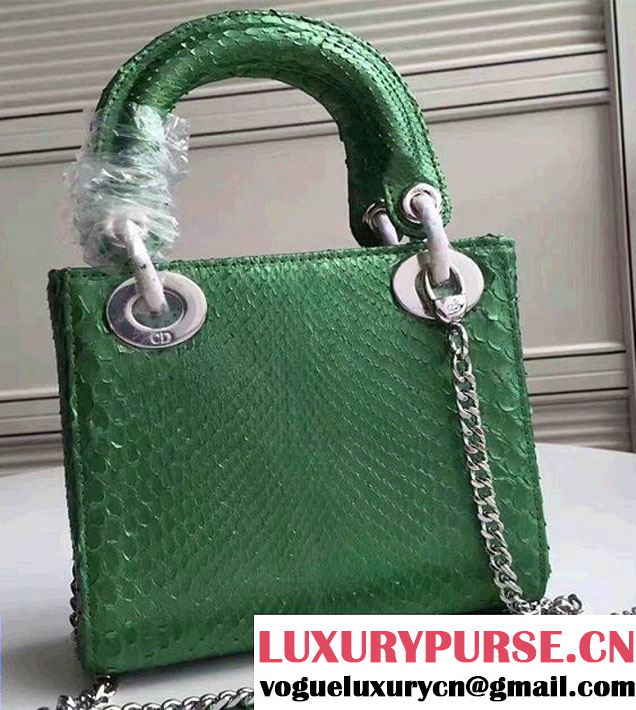 Lady Dior Python Small/Mini Bag with Double Chain Strap Green 2017