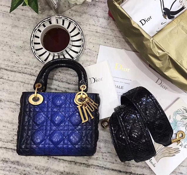 Christian Dior Lady Dior Bag with Python Skin 17cm Aged Gold Hardware Lambskin Leather Cruise 2017 Collection Black Blue