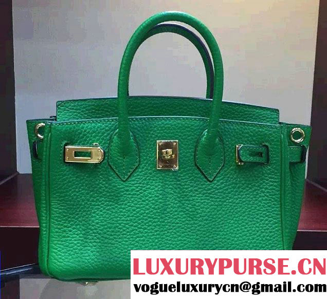 Hermes Togo Leather Birkin 20cm Mini Bag Green 2016