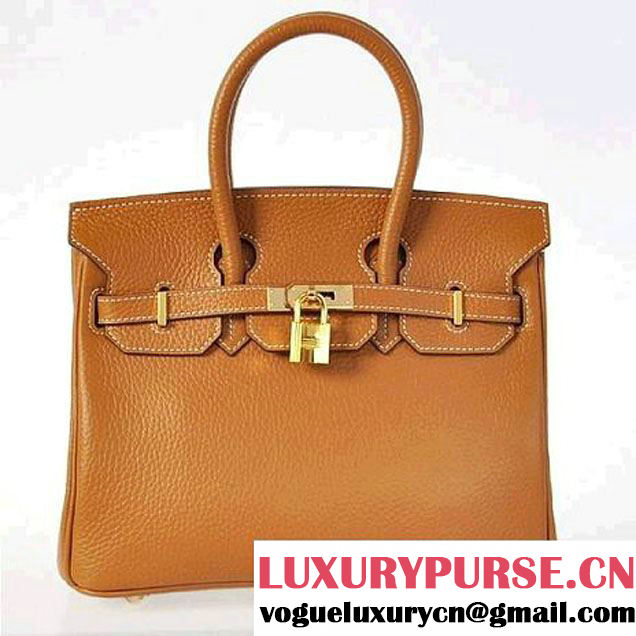 Hermes Birkin 25CM Tote Bags Togo Leather Camel Godlen