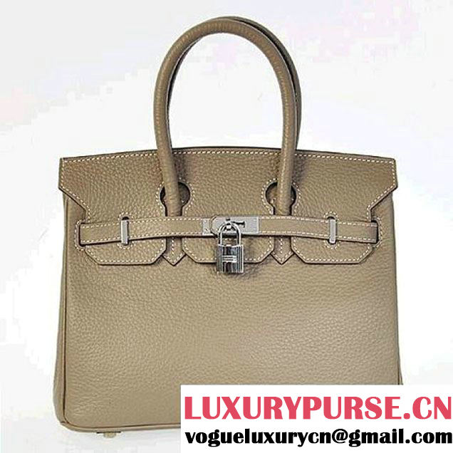 Hermes Birkin 25CM Tote Bags Togo Leather Dark Grey Silver