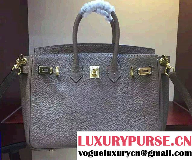 Hermes Togo Leather Birkin 25cm Small Bag Gray 2016