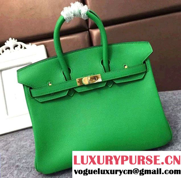 Hermes Mini Birkin 25cm Bag in Original Togo Leather Bag Light Green