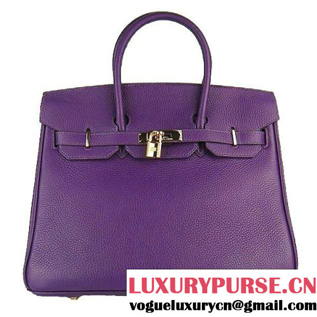 Hermes Birkin 35cm Embossed Veins Leather Bag Purple 6089 Gold Hardware