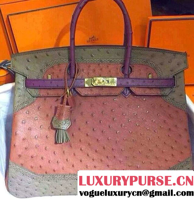 Hermes Ostrich Leather Birkin 30/35 Tricolor Bag Brown/Camel/Purple 2015