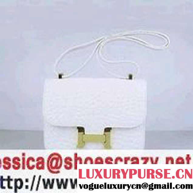 Hermes Constance Bag White Oxhide Stone Veins Leather Gold