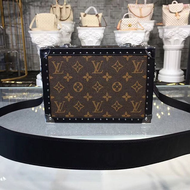 Louis Vuitton Monogram Canvas Box Bag M20101