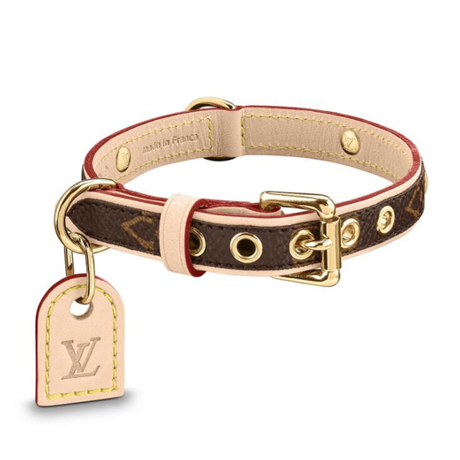 Louis Vuitton M58072 Baxter Dog Collar PM Monogram Canvas