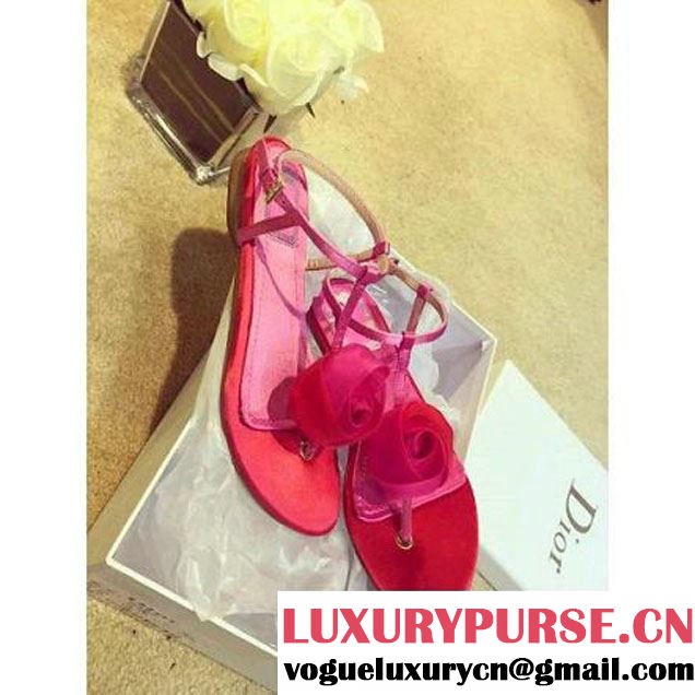 Dior Rose and Marine Satin and Organza Flat Sandal (GD4006-230419 )