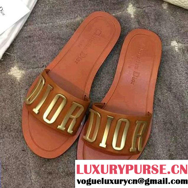 Dior Brown Calfskin Mule Adorned With A Gold-tone Metallic D.I.O.R Logo Summer 2017 (LG-7031616 )