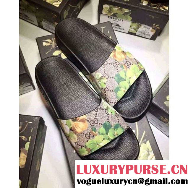 Gucci Print Slide Sandal For Couples 锛?锛?2016 (GD066-6032843 )