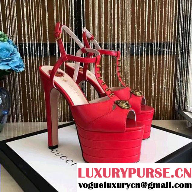 Gucci Leather Platform Sandal Red 2017 (GD4007-7022144 )