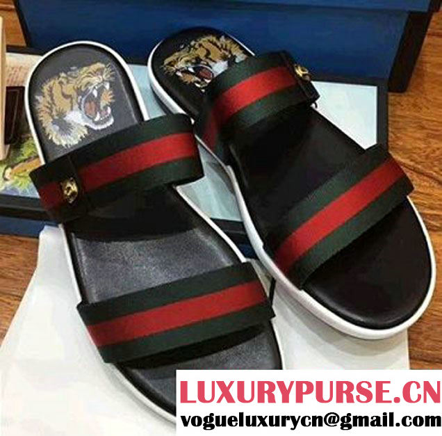 Gucci Web Tiger Head Print Footbed Men's Slide Scandals Black 2017