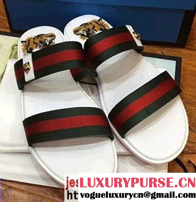 Gucci Web Tiger Head Print Footbed Men's Slide Scandals White 2017