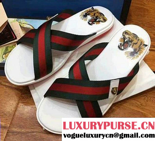 Gucci Crossover Web Tiger Head Print Footbed Men's Slide Scandals White 2017