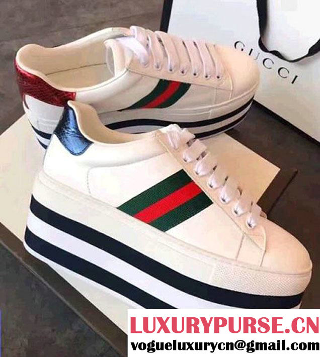 Gucci 8CM Platform Web Detail Leather Sneaker 475649 White 2017