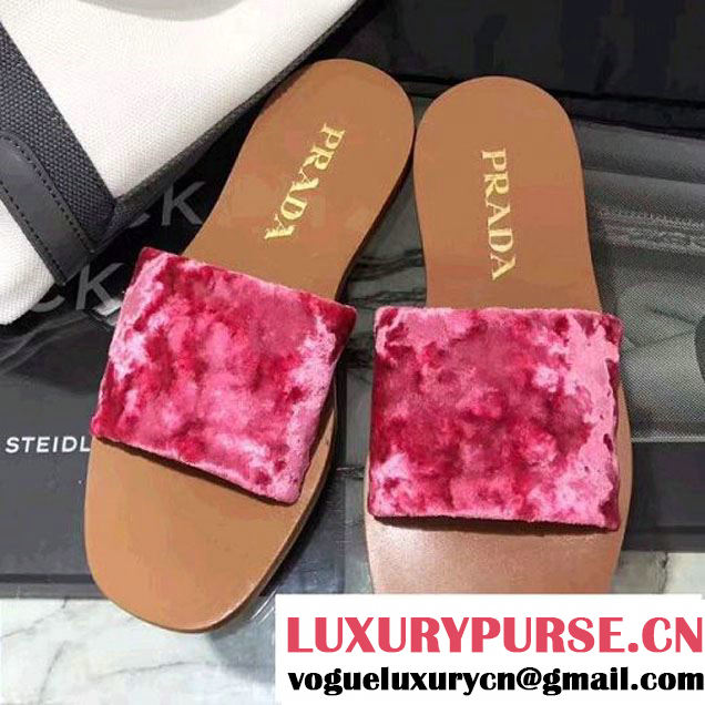 Prada Crushed Velvet Slide Slipper Rosy 2017 (CC-7070808 )