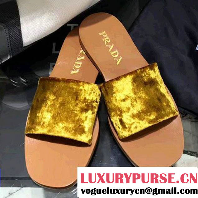 Prada Crushed Velvet Slide Slipper Yellow 2017 (CC-7070809 )