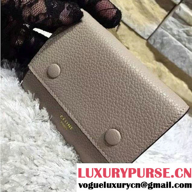 Celine Grained Calfskin Flap Wallet In Beige (2A193-120109 )